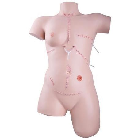 3B SCIENTIFIC Wound Care and Bandaging Skill Trainer 1020592